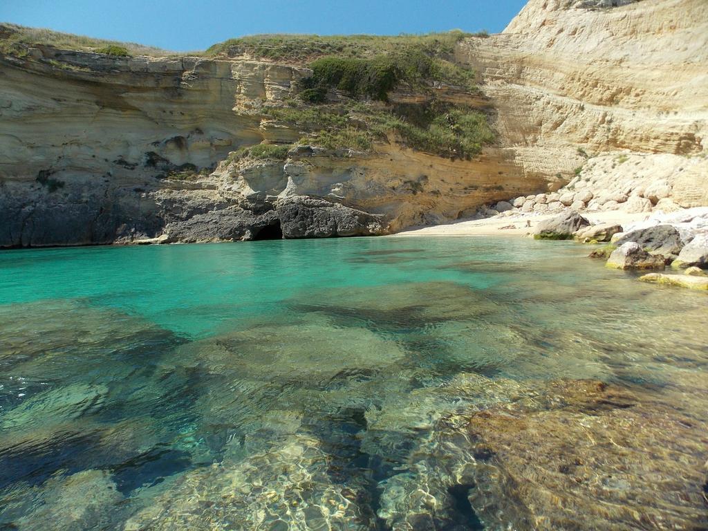 Alojamento de Turismo Rural Le Tagliate *