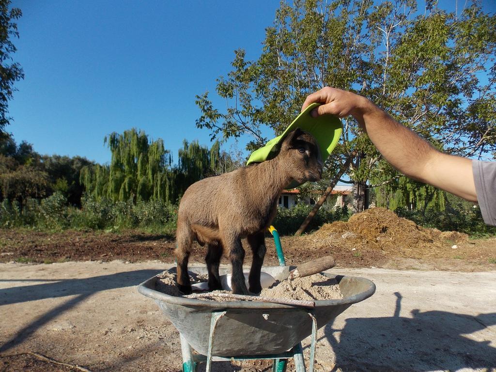Farm stay Le Tagliate *